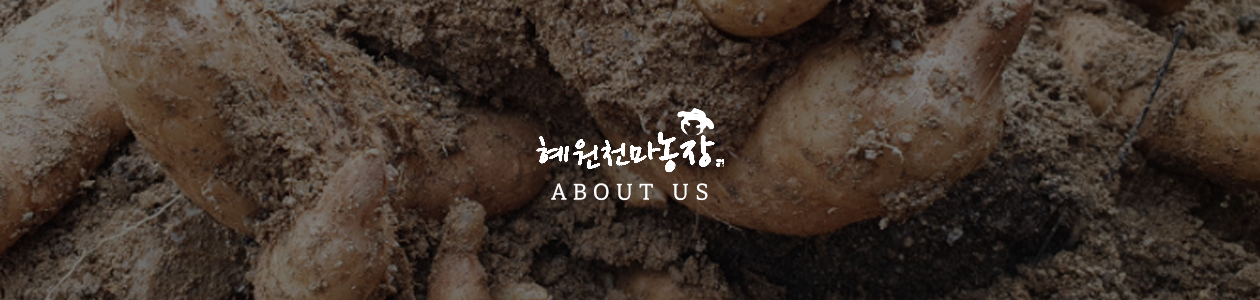 혜원천마농장